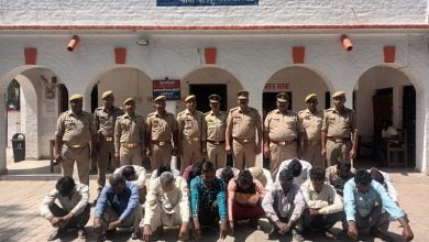 WhatsApp Image 2023 04 09 at 17.56.53