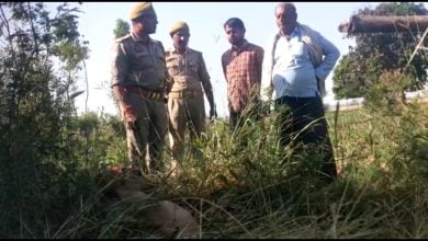 WhatsApp Image 2023 04 12 at 18.22.54