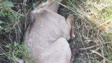 WhatsApp Image 2023 04 12 at 18.22.56