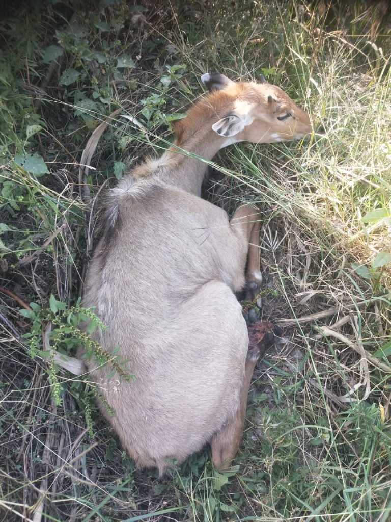 WhatsApp Image 2023 04 12 at 18.22.56