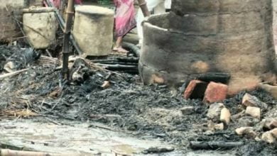 WhatsApp Image 2023 04 14 at 17.01.43