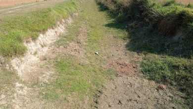 गोण्डा- किसानों की टूटी आस, सूखी नहरों ने किया निराश 8 photo1680777008