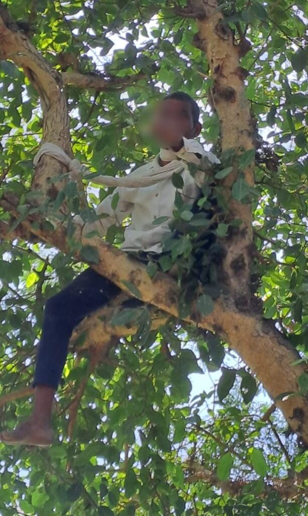 पेड़ पर चढ़कर आत्महत्या का प्रयास करने वाले व्यक्ति को सकुशल उतार कर पुलिस ने बचायी जान 1 WhatsApp Image 2023 06 07 at 16.00.08