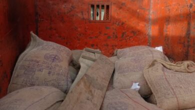 WhatsApp Image 2023 06 13 at 17.52.25