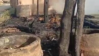 अज्ञात कारणों से आग लगने से दो फूस के छप्पर सहित अन्य सामान जल कर खाक हो गए । 1 WhatsApp Image 2023 06 17 at 12.06.11