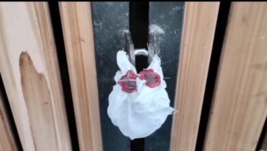 प्रशासन की बड़ी कार्रवाई, नगर पालिका चेयरमैन उज्मा राशिद का घर सीज 14 photo1686834601