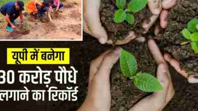 photo 6183626487098356990 y 1689913561 e1689945605424