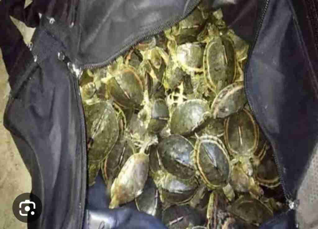 Screenshot 2023 08 05 19 26 29 43 680d03679600f7af0b4c700c6b270fe7