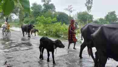 WhatsApp Image 2023 08 10 at 15.56.13 1