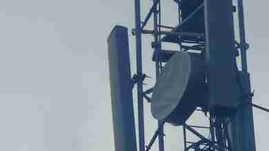 WhatsApp Image 2023 08 16 at 16.25.27