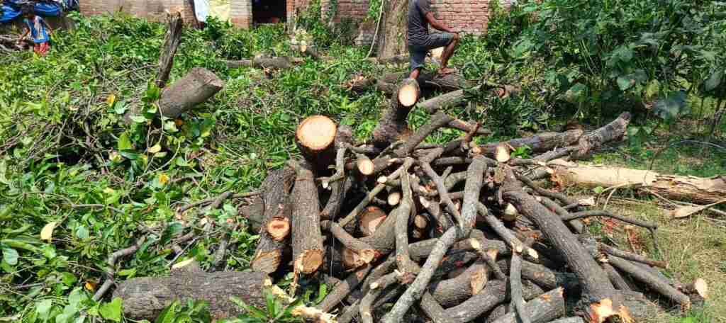 WhatsApp Image 2023 09 21 at 17.59.44