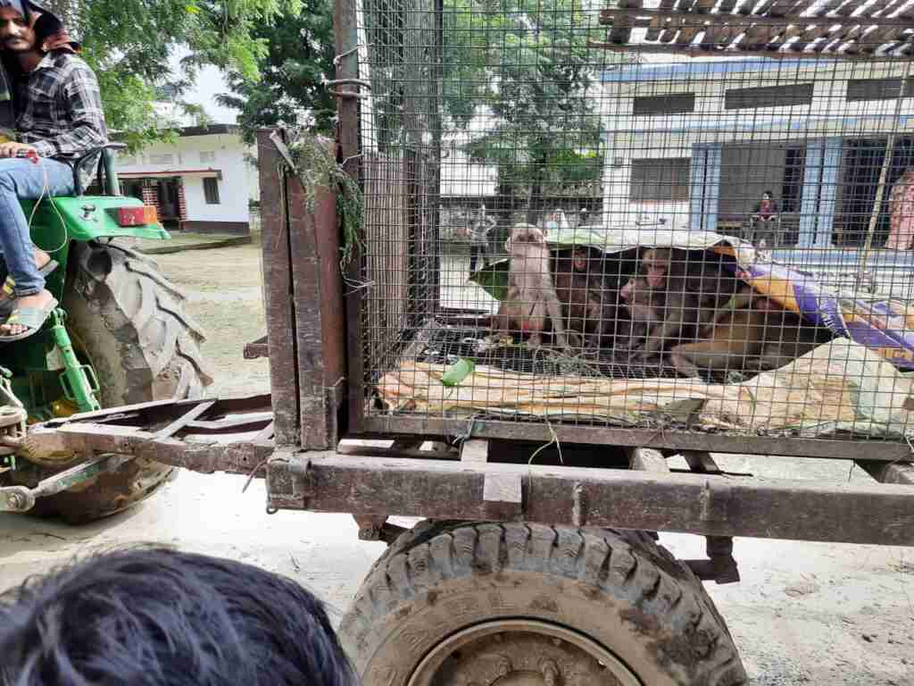 WhatsApp Image 2023 09 22 at 18.54.04