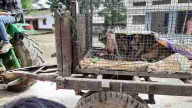 WhatsApp Image 2023 09 22 at 18.54.04