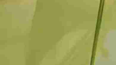 WhatsApp Image 2023 10 28 at 21.18.33 58423a84