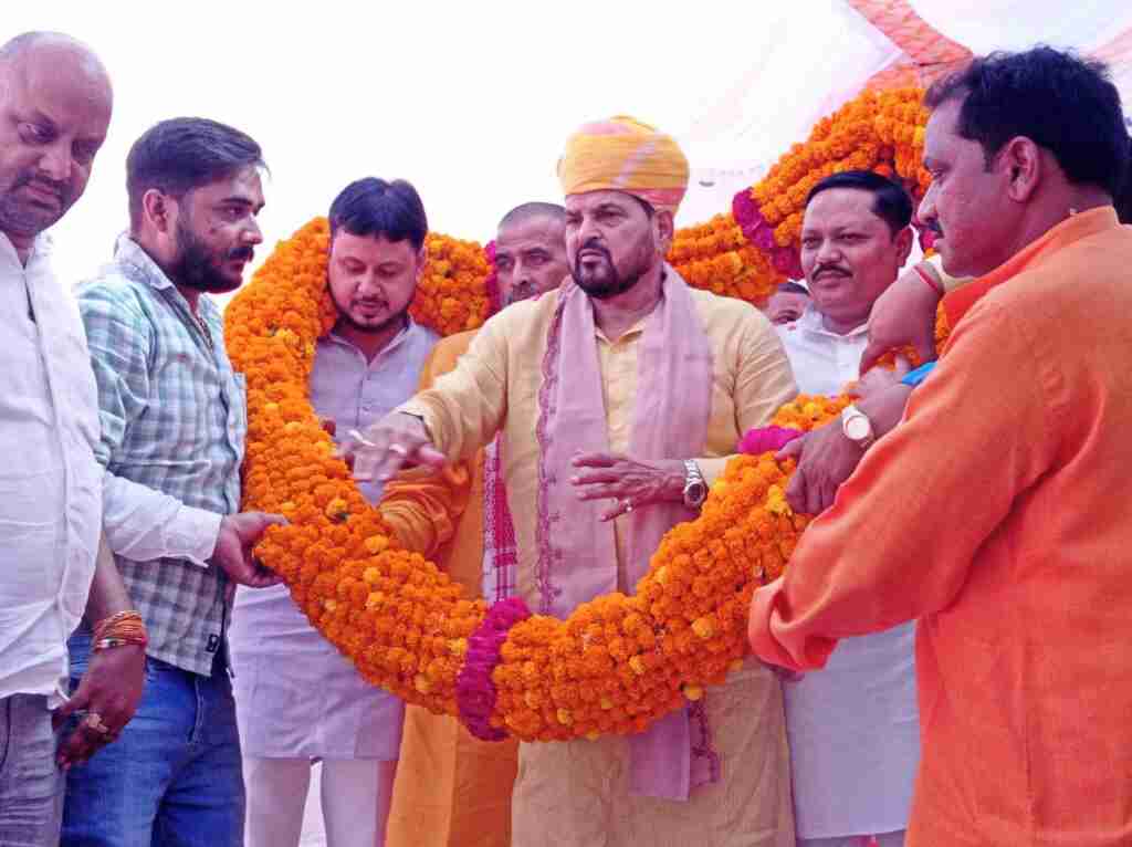 photo 2023 10 12 19 30 02