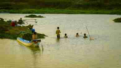 river, countryside, fishing-3680002.jpg