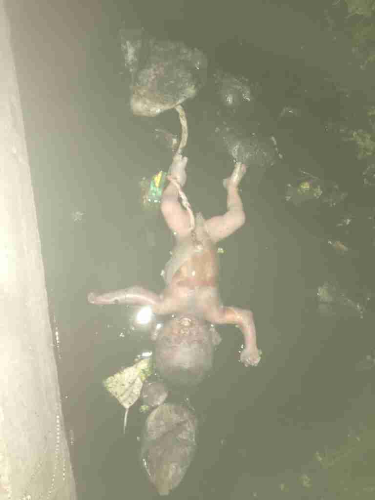 WhatsApp Image 2023 11 23 at 15.26.43 b5c2409b