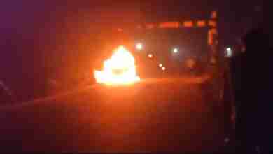 WhatsApp Image 2023 11 24 at 06.50.08 1a86ae53