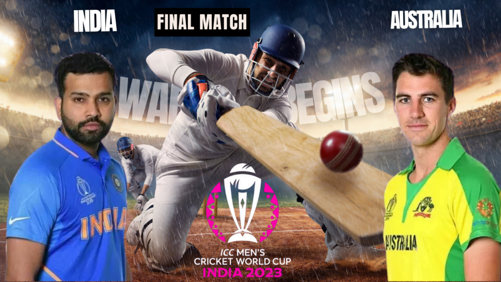 cricket 6