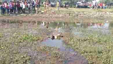 गोंडा में तालाब में उतराता मिला अधेड़ का शव, पहचान में जुटी पुलिस 1 WhatsApp Image 2023 12 02 at 12.57.35 98f894bd
