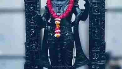 WhatsApp Image 2024 01 19 at 16.44.24 045e66a1