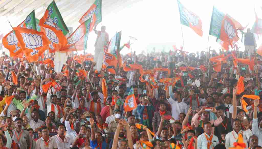 BJP Flags