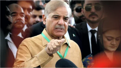 mixcollage 24 apr 2025 04 29 pm 6104 1745492367