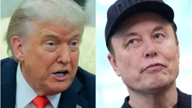 Donald Trump Elon Musk