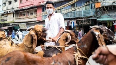 बकरीद से पहले इस्लामिक सेंटर ऑफ इंडिया की सलाह: सोशल मीडिया से बचें, ग्रीन और वर्चुअल कुर्बानी को दें बढ़ावा 3 bakre