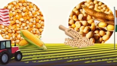 भारत–अमेरिका व्यापार समझौता क्यों अटका है? 19 image