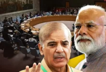"पहलगाम हत्याकांड पर मचा अंतरराष्ट्रीय भूचाल: UNSC में पाकिस्तान पर सवाल, भारत ने बताया 'False Flag' का झूठा जाल" 139 unsc meeting agenda