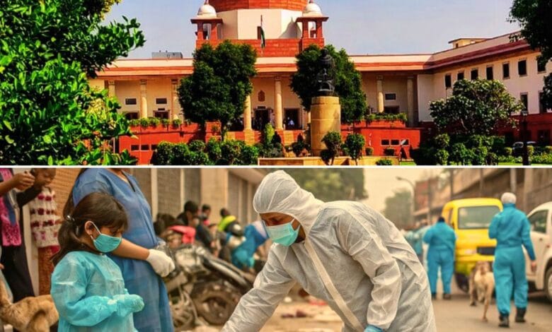 आवारा कुत्तों पर सुप्रीम कोर्ट का बड़ा फैसला, नसबंदी और टीकाकरण के बाद वापस छोड़े जाएंगे कुत्ते 1 delhi dogs