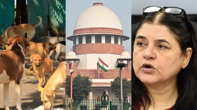 मेनका गांधी का कड़ा आरोप, सुप्रीम कोर्ट के आदेश पर उठाए सवाल 1 maneka