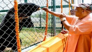 उत्तर प्रदेश में बर्ड फ्लू अलर्ट: मुख्यमंत्री योगी ने चिड़ियाघरों में अतिरिक्त सतर्कता बरतने के निर्देश दिए 3 uttar