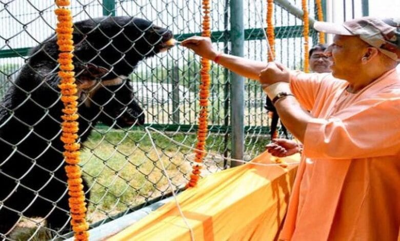 उत्तर प्रदेश में बर्ड फ्लू अलर्ट: मुख्यमंत्री योगी ने चिड़ियाघरों में अतिरिक्त सतर्कता बरतने के निर्देश दिए 1 uttar