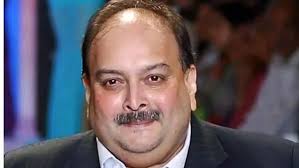 पीएनबी घोटाले में भगोड़े मेहुल चोकसी को बड़ा झटका — बेल्जियम कोर्ट ने प्रत्यर्पण की मंजूरी दी 1 download 3 8