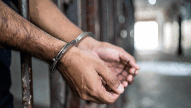 दिल्ली में जासूसी नेटवर्क का पर्दाफाश, पाकिस्तानी खुफिया एजेंसी से जुड़ा एक जासूस गिरफ्तार 4 isi