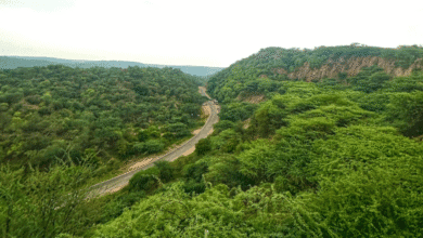 Aravalli Hills