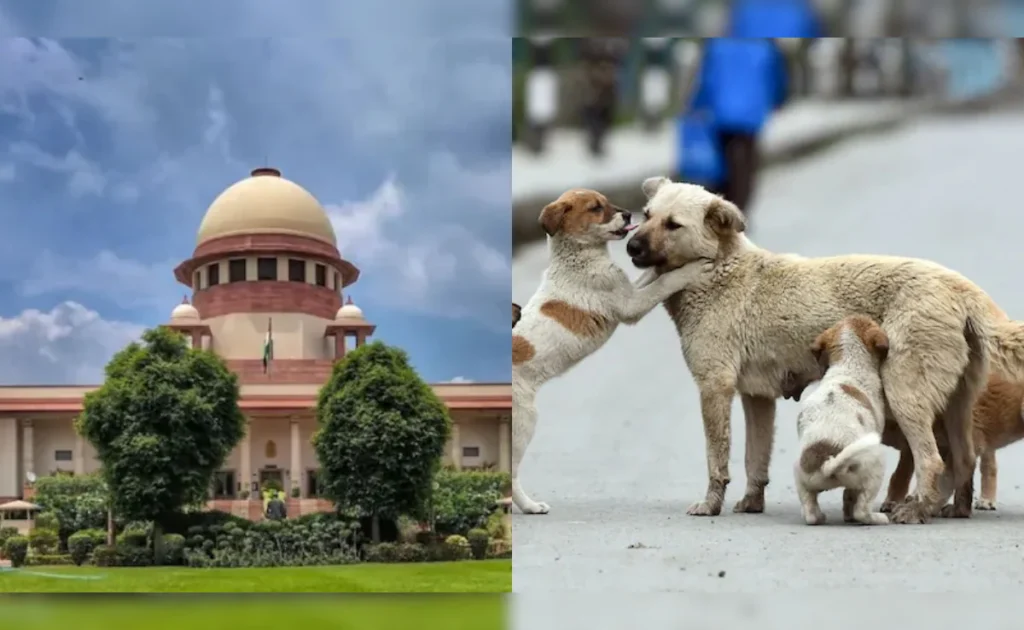 sc dog cases