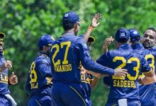 cricket updte
