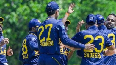 cricket updte