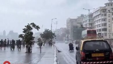 मानसून ने बढ़ाई रफ्तार, 4 राज्यों में मूसलाधार बारिश का रेड अलर्ट; 5 राज्यों में हीटवेव से राहत नहीं 3 images 6 9