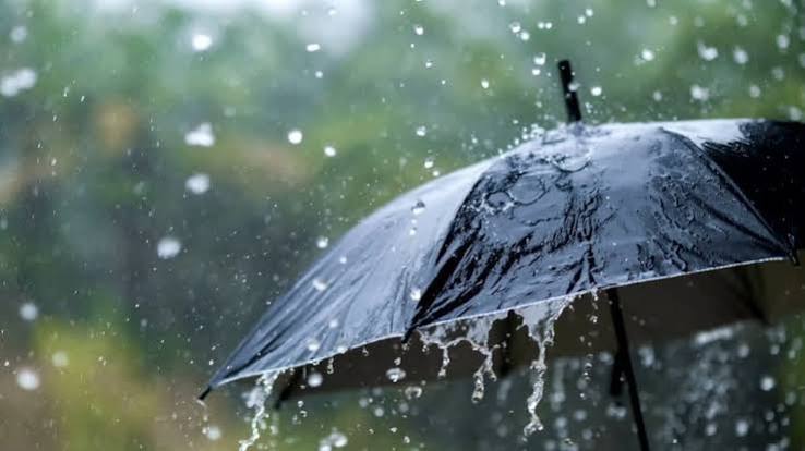 NCR में बदलेगा मौसम का मिजाज, बारिश और तेज हवाओं का अलर्ट; गर्मी से मिलेगी राहत 1 images