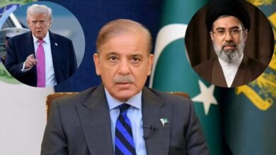 पाकिस्तान के PM शहबाज शरीफ का दावा: 24 घंटे में हो सकता है US-ईरान शांति समझौता 2 pakistan us iran