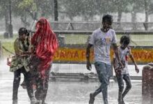 rain alert