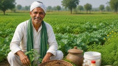 प्राकृतिक खेती अपनाने वाले किसानों को सरकार देगी ₹4,000 प्रति एकड़ की सहायता, खेती की लागत घटाने पर सरकार का बड़ा जोर 2 images 7 15
