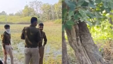 प्रेमिका को जंगल में बुलाकर प्रेमी ने की हत्या, शादी के लिए पैसे मांगने से था नाराज 2 images 1 21