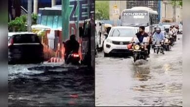 दिल्ली-एनसीआर में लगातार बारिश से जनजीवन बेहाल, कई इलाकों में जलभराव और पेड़ गिरने से यातायात प्रभावित 2 images 1 5
