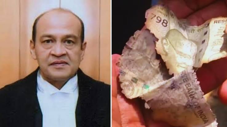 जस्टिस यशवंत वर्मा के घर कैश मिलने के मामले में बड़ा खुलासा, जांच कमेटी ने तीनों आरोप सही माने 1 images 6 9