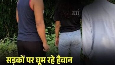 समस्तीपुर में लड़की से सरेराह बदसलूकी का वीडियो वायरल, चार आरोपी गिरफ्तार; पुलिस ने शुरू की जांच 1 images 3 22